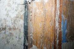 Corel Website Creator X6