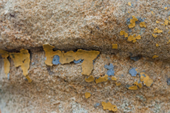 Corel Website Creator X6